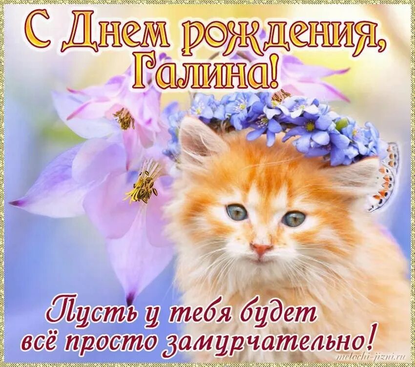 Картинка с днем рождения женщине галя Попову Галину(Павлюк) с днём рождения! 2023 Карелочка ВКонтакте