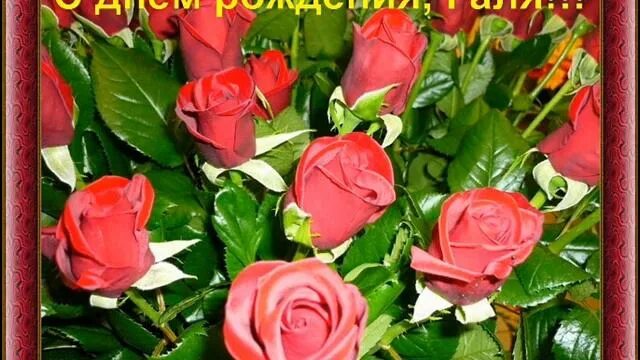 Картинка с днем рождения женщине галя С ЮБИЛЕЕМ ТЕБЯ,ГАЛИНА! - смотреть видео онлайн от "Праздничный выходной: новости
