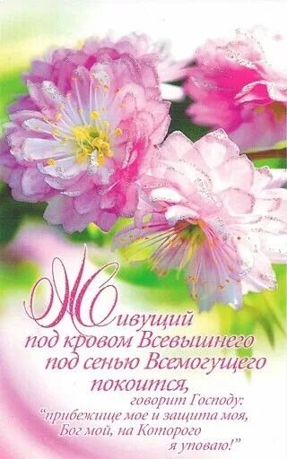 Картинка с днем рождения женщине христианские Pin on христтианство Holidays and events, Biblical verses, Faith