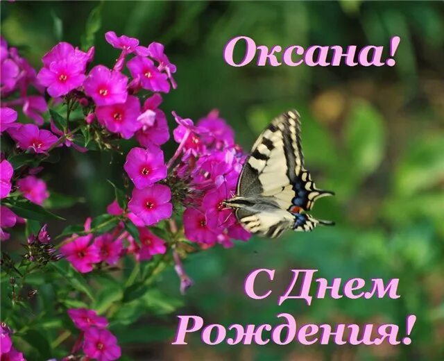 Картинка с днем рождения женщине красивые оксана Форум на Kuban.ru - Показать сообщение отдельно - Оксана Горбенко,С Днем Рождени