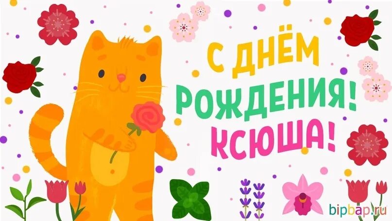 Картинка с днем рождения женщине ксении Студия "Свет" поздравляет с днём рождения Ксюшу Пухову. Счастья, радости, благоп