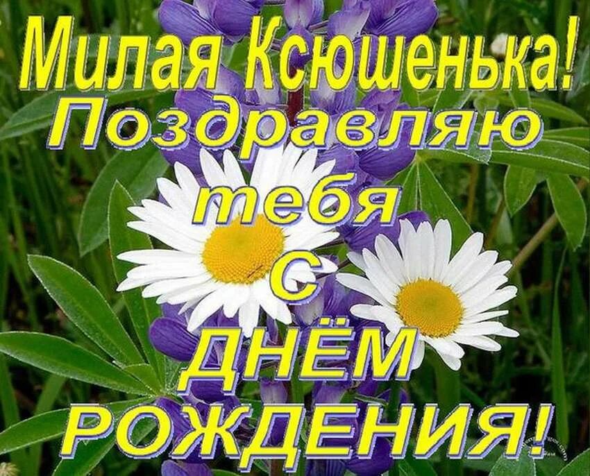 Картинка с днем рождения женщине ксении Открытку ксюша с днем рождения Южный Город