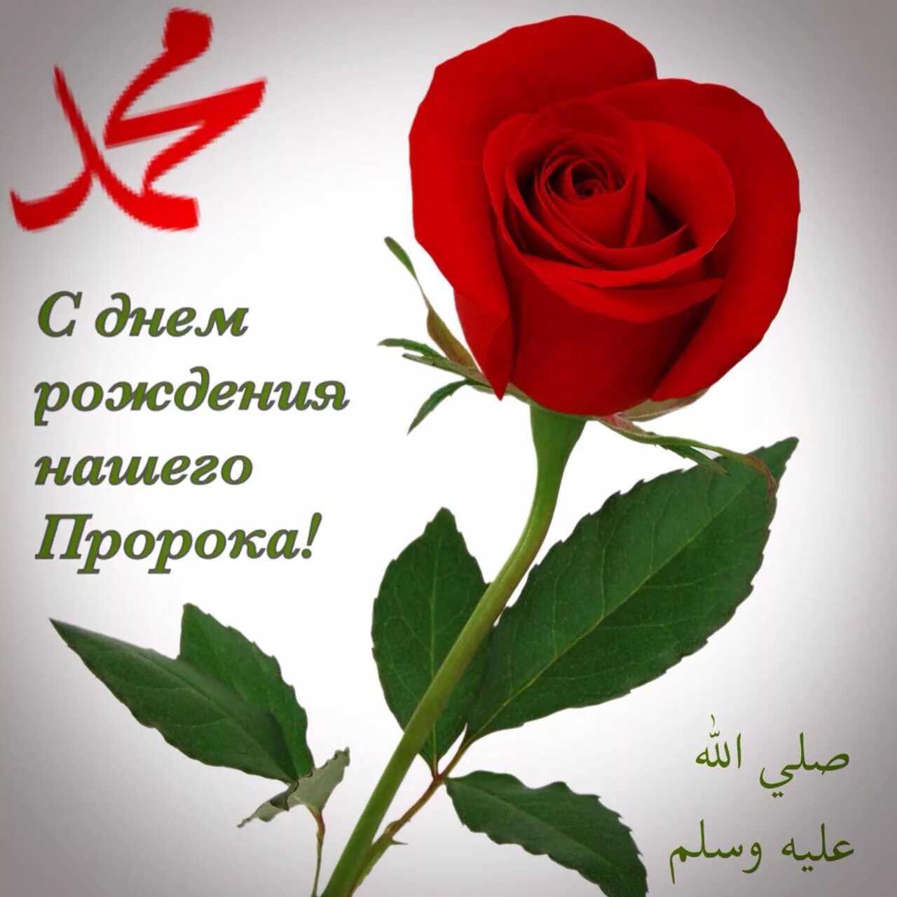 Картинка с днем рождения женщине мусульманке День рождения Пророка с.а.в. Медицинский колледж имени Башларова