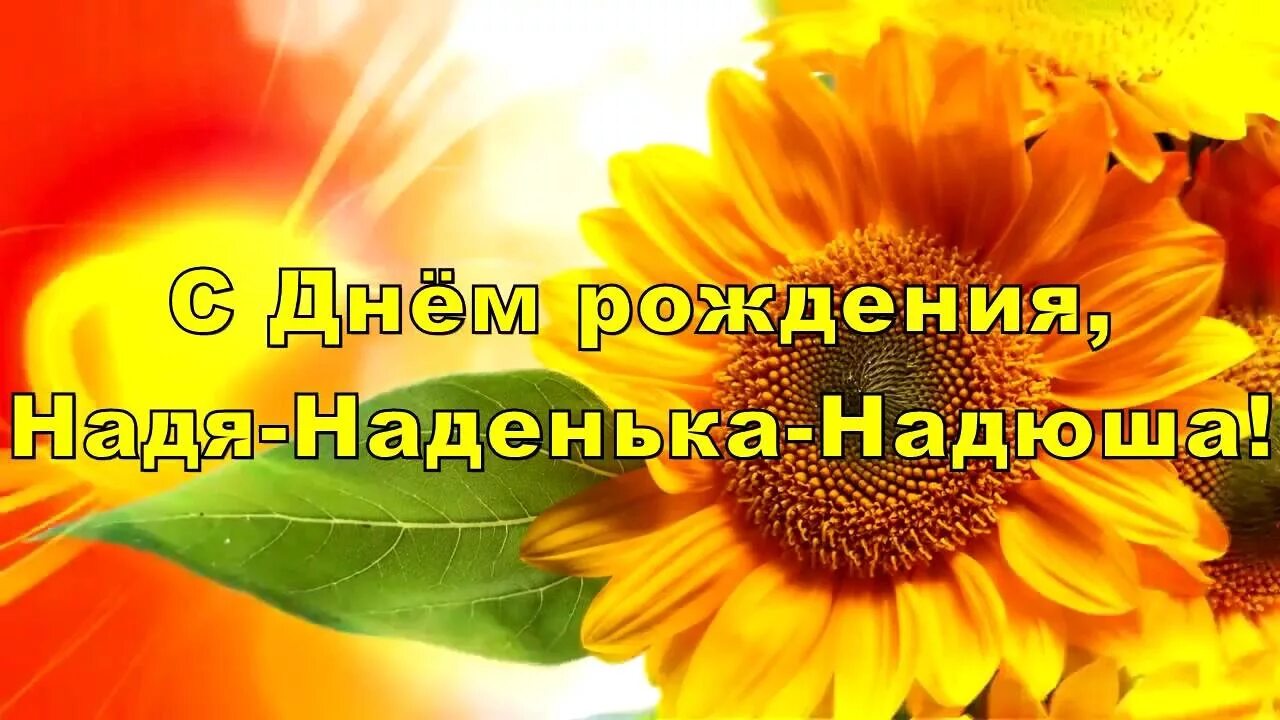 Картинка с днем рождения женщине надя С Днём Рождения Надюня! (Антонина Белоусова) / Стихи.ру