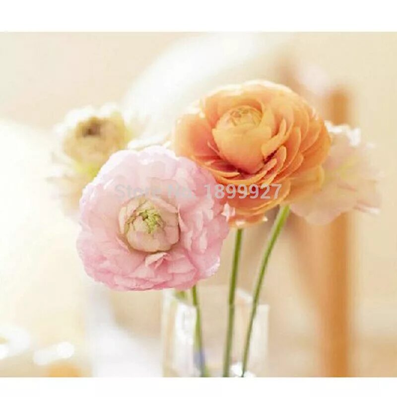 Картинка с днем рождения женщине недная ใ ห ม ่Diy 5d เ พ ช ร ป ก ด อ ก ไ ม ร ป ภ า พ ก ำ แ พ ง เ พ