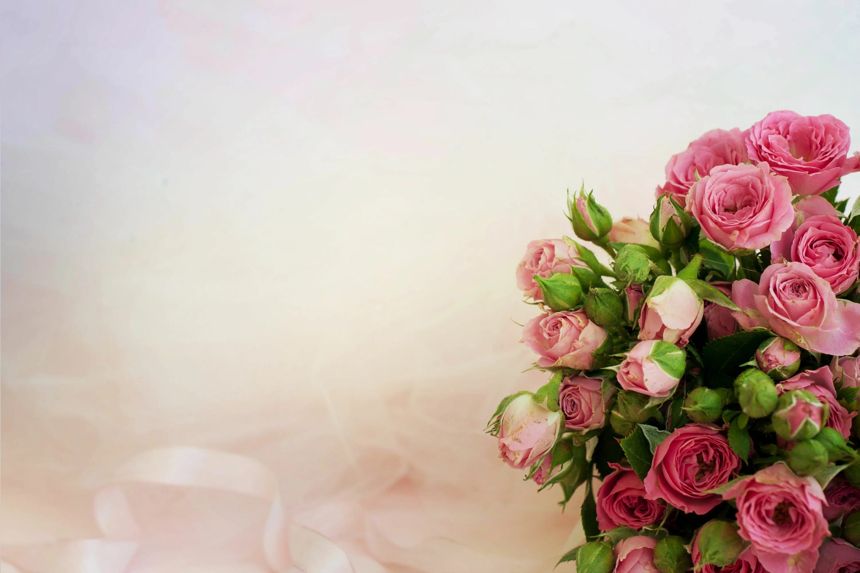 Картинка с днем рождения женщине официальная pink rose bouquet #background #roses #bouquet #pink #4K #wallpaper #hdwallpaper 