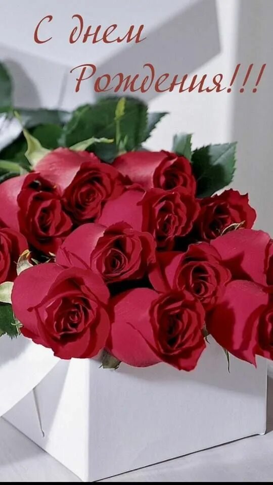 Картинка с днем рождения женщине официальная Pin on С Днём Рождения !!! Beautiful rose flowers, Beautiful roses, Rose flower 