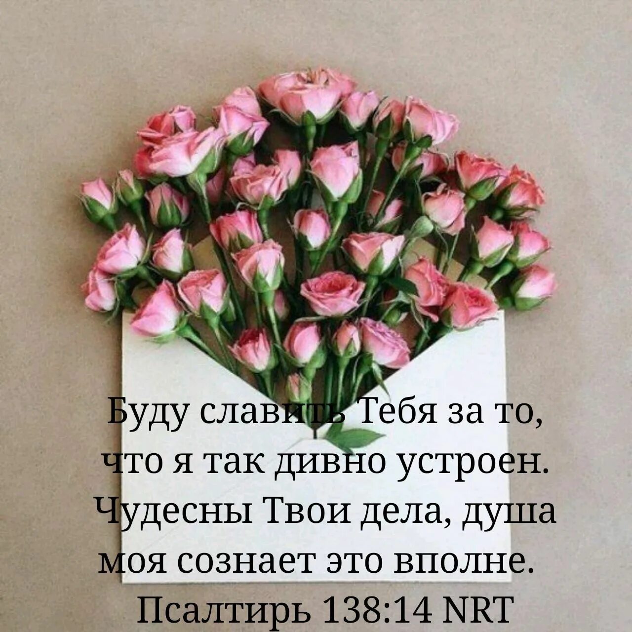 Картинка с днем рождения женщине оригинальная необычная Pin op Псалтирь