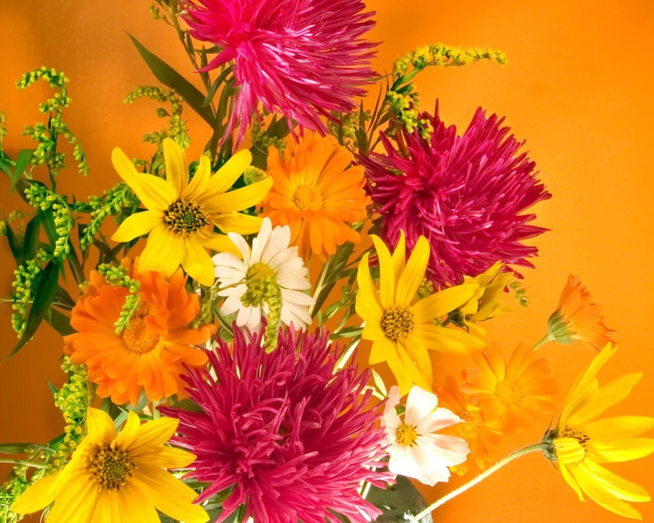 Картинка с днем рождения женщине осенние цветы Wallpaper : flowers, daisies, bouquets, flora, petal, composition, wildflower, l