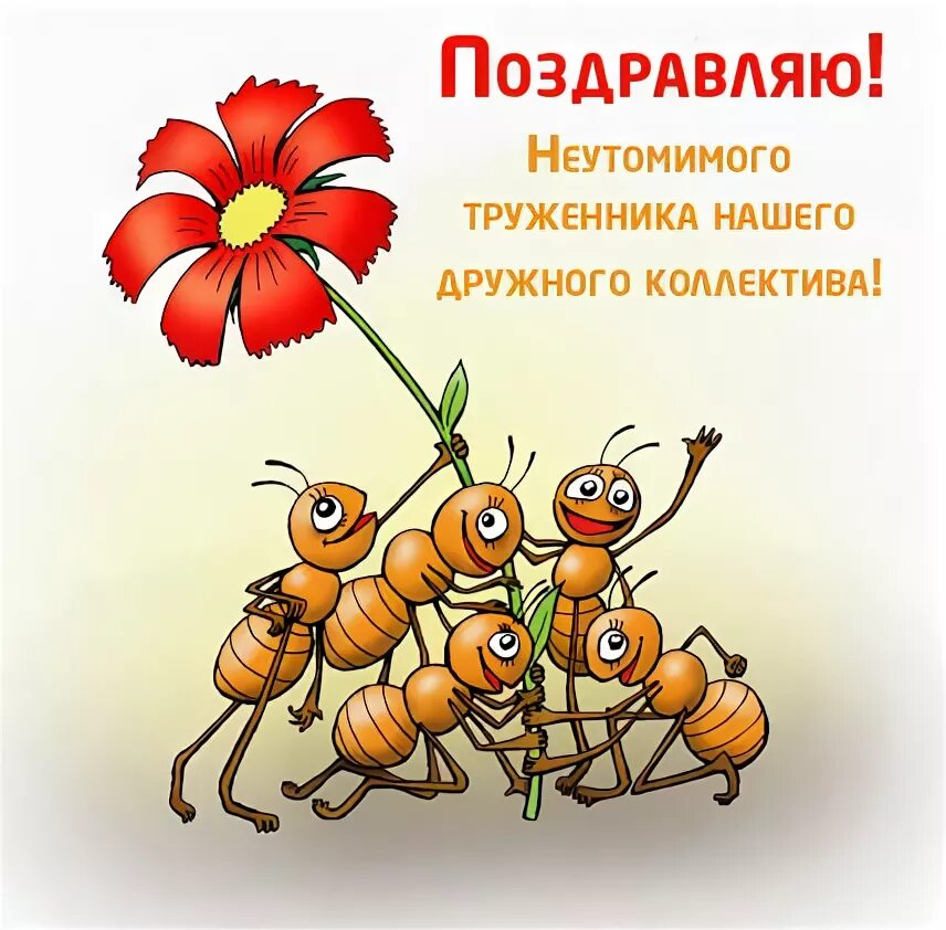 Картинка с днем рождения женщине от коллектива Наш коллектив поздравляет с рождением: найдено 87 изображений