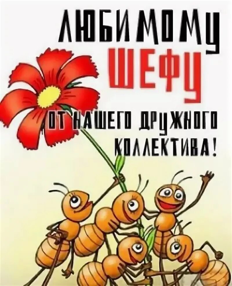 Картинка с днем рождения женщине от коллектива Всемирный день шефа!