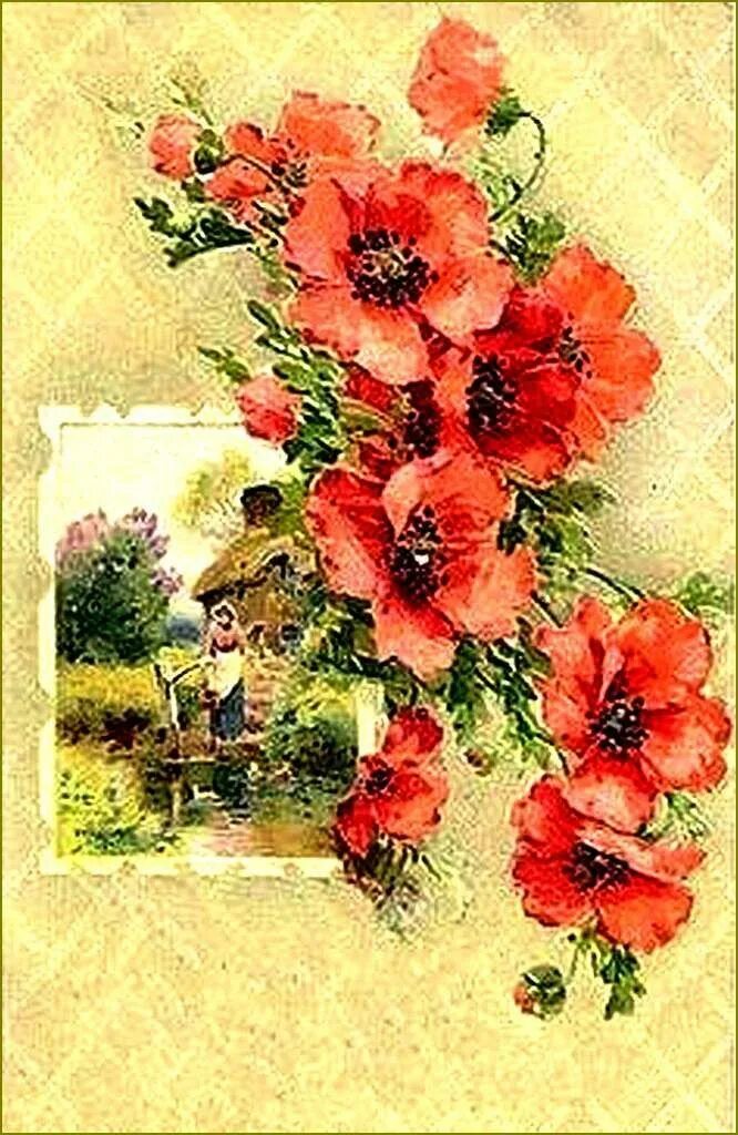 Картинка с днем рождения женщине ретро Cartes illustrées vintage fleurs - coquelicots - Balades comtoises Vintage birth