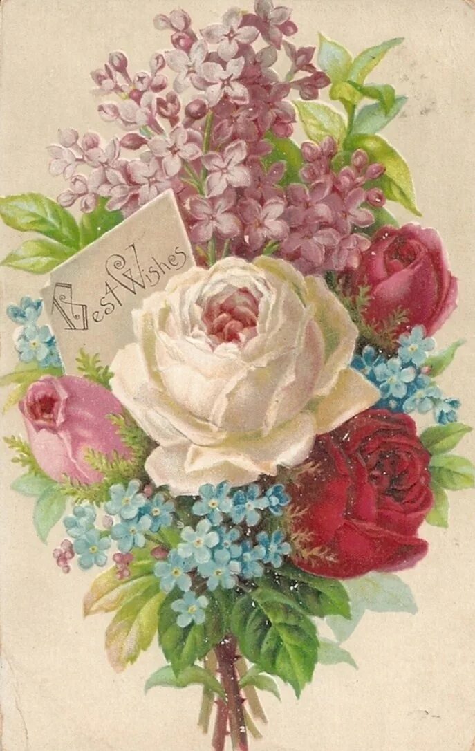 Картинка с днем рождения женщине ретро Vintage Printable White Rose