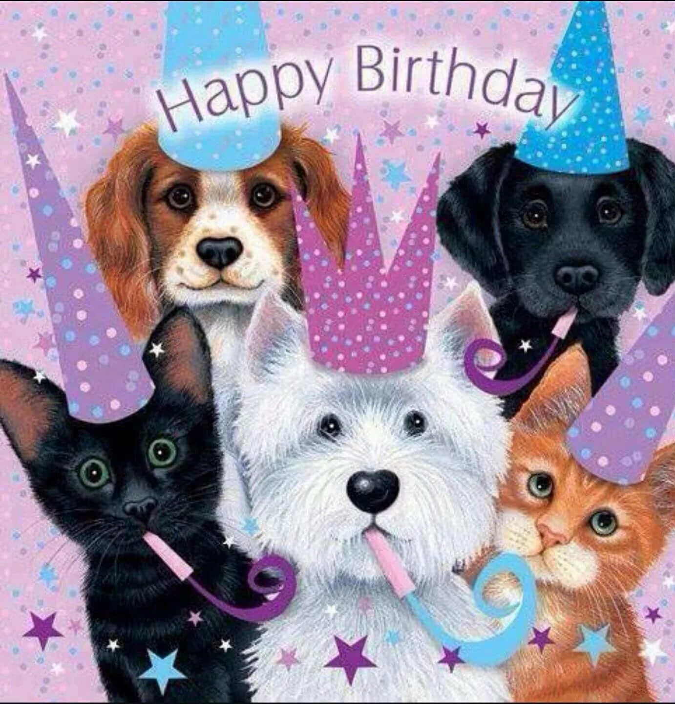 Картинка с днем рождения женщине с животными Pin on Happy Birthday Happy birthday dog, Happy birthday cat, Happy birthday ima