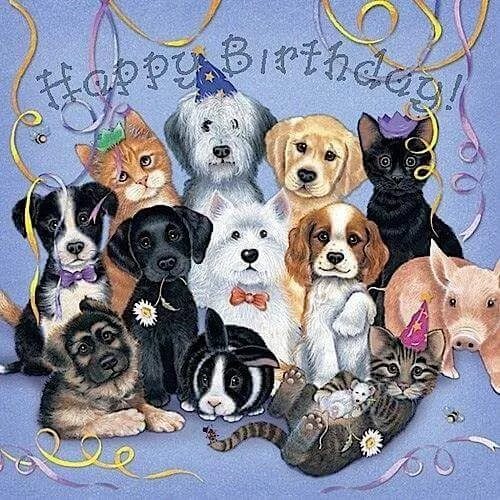 Картинка с днем рождения женщине с животными Pin by Carmen Williams on Dogs Happy birthday animals, Happy birthday greetings,