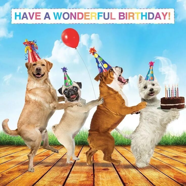 Картинка с днем рождения женщине с животными Dog Lovers Luxury Glitter Birthday Greeting Card Pug Bulldog Westie Retriever eB