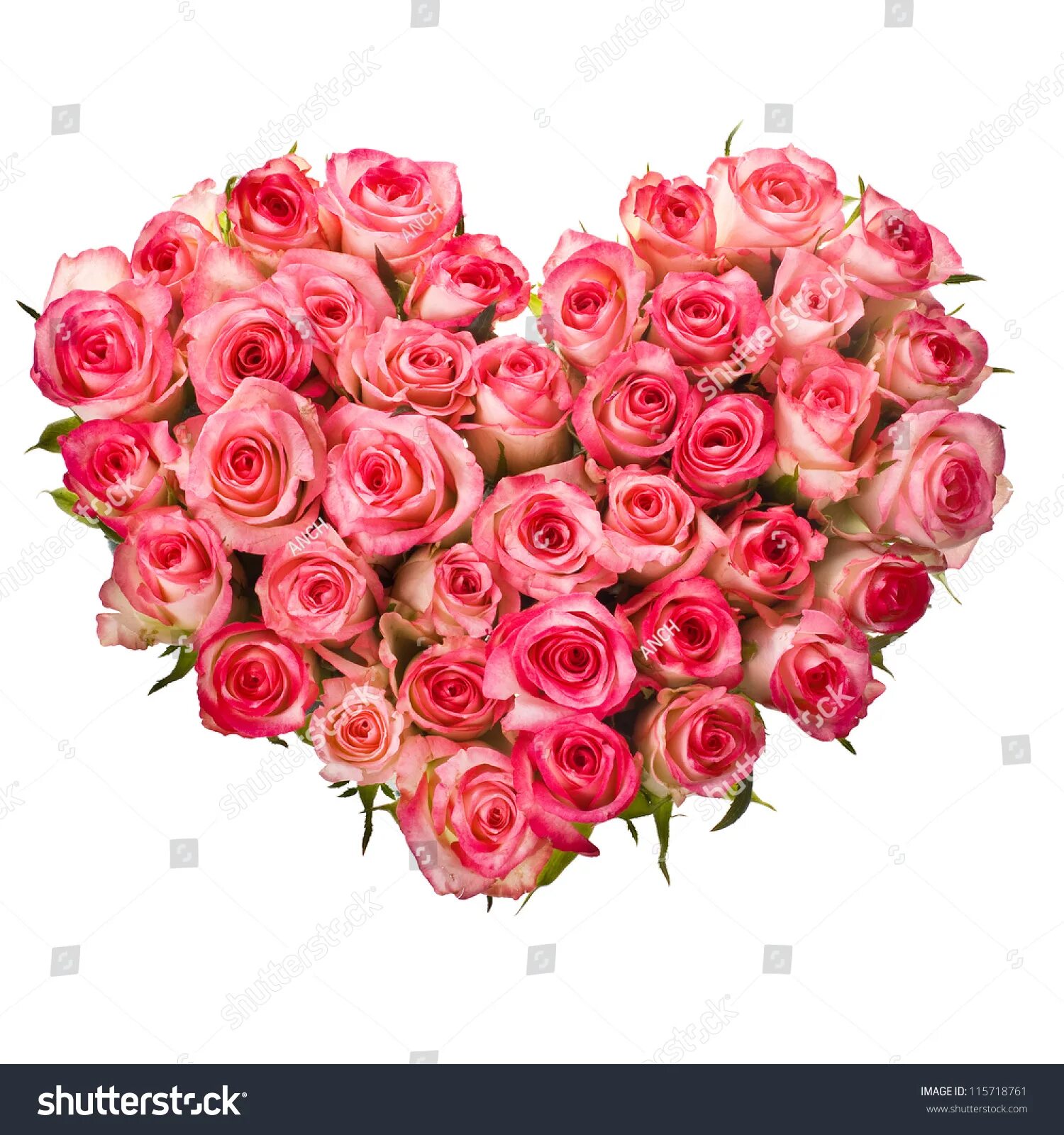 Картинка с днем рождения женщине сердце 2,167,616 Bouquet Of Roses Images, Stock Photos & Vectors Shutterstock