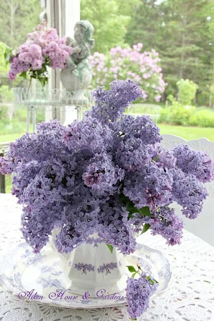 Картинка с днем рождения женщине сирень It's Lilac Season in our Garden Flower arrangements, Pretty flowers, Purple flow