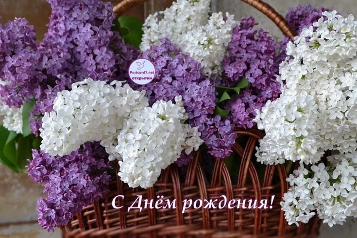 Картинка с днем рождения женщине сирень С Днём рождения, сирень в корзине, открытка, фото-обои Floral wreath, Floral, Pl