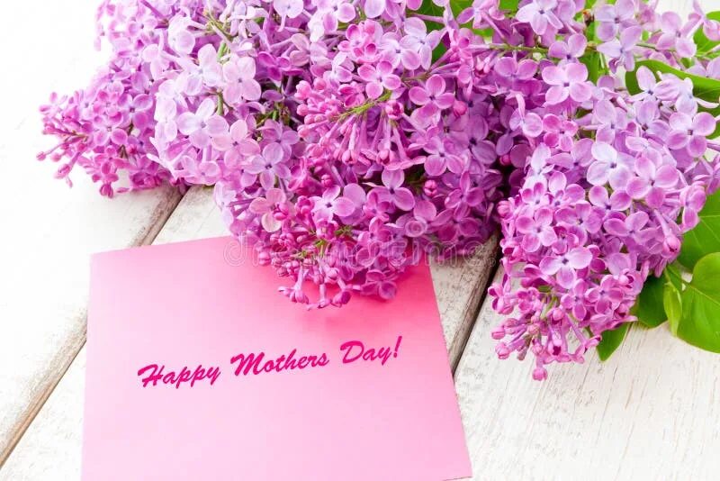 Картинка с днем рождения женщине сирень Lilac Bouquet with Happy Mothers Day Card Stock Photo - Image of design, happy: 