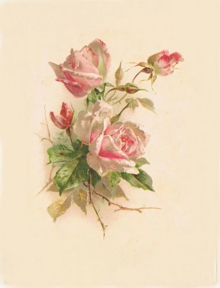 Картинка с днем рождения женщине старая Pin on ЦВЕТЫ Vintage cards, Vintage printables, Shabby chic cards
