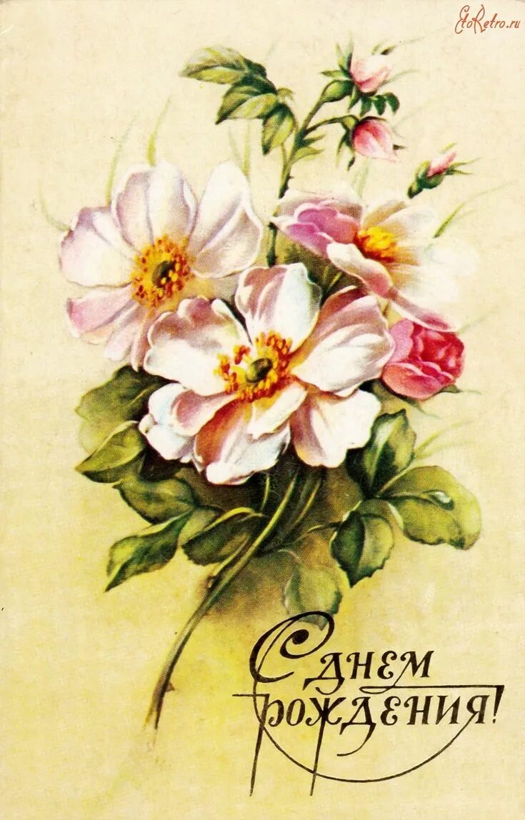 Картинка с днем рождения женщине старая Макаров Fiori, Immagini, Cartoline