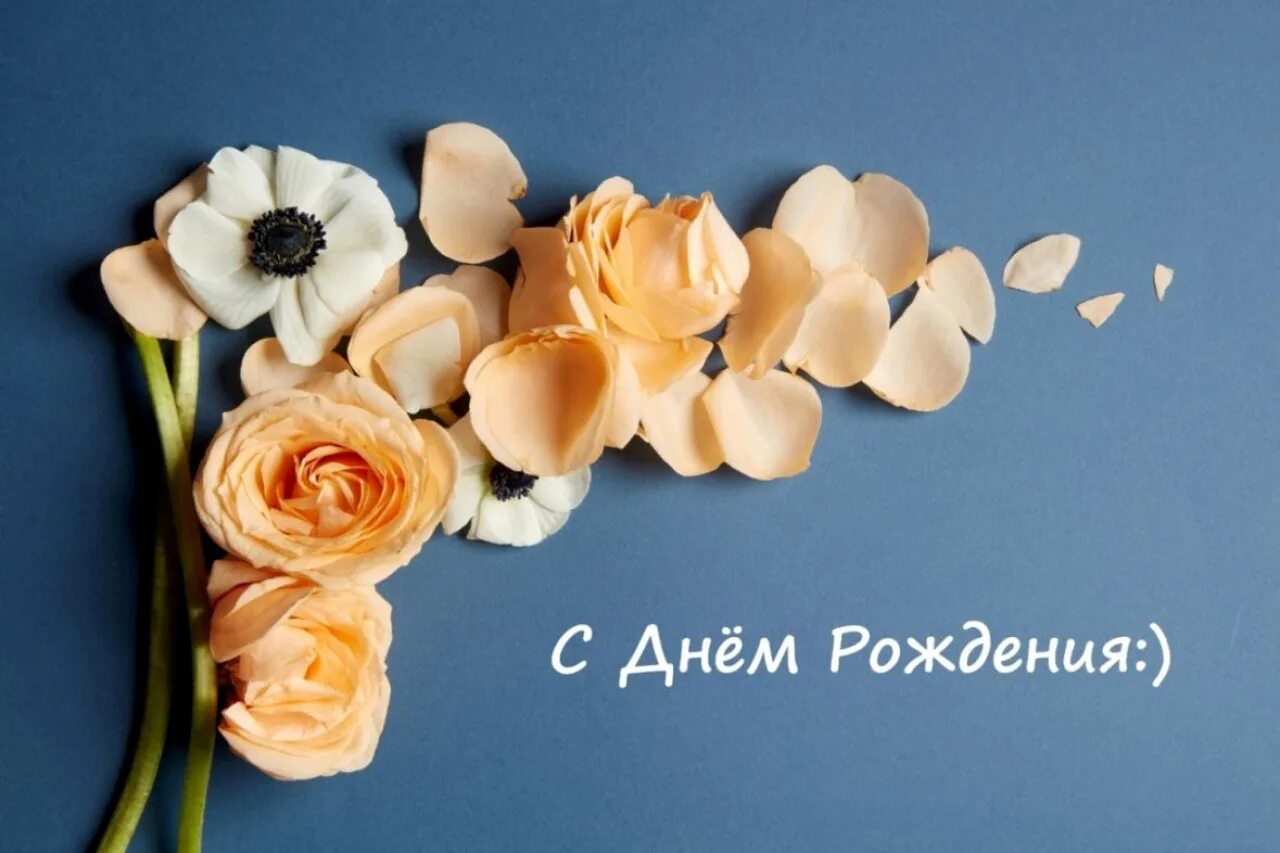 Картинка с днем рождения женщине стильная С юбилеем стильные картинки: найдено 85 изображений