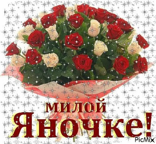 Картинка с днем рождения женщине яне Перчинка Янусь, с Днем рождения!
