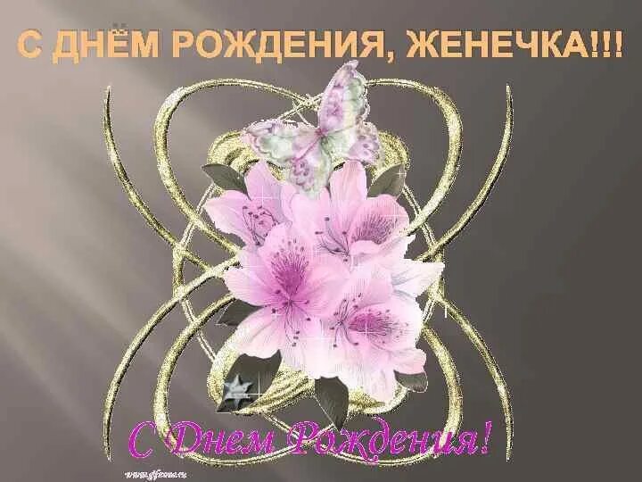 Картинка с днем рождения женя женщина С рождением женя женщине картинки красивые: найдено 76 изображений