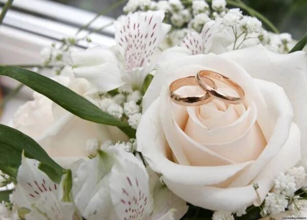 Картинка с днем свадьбы 14 лет WEDDING ANNIVERSARY Save to not forget ! GREEN WEDDING Marriage day. This is the