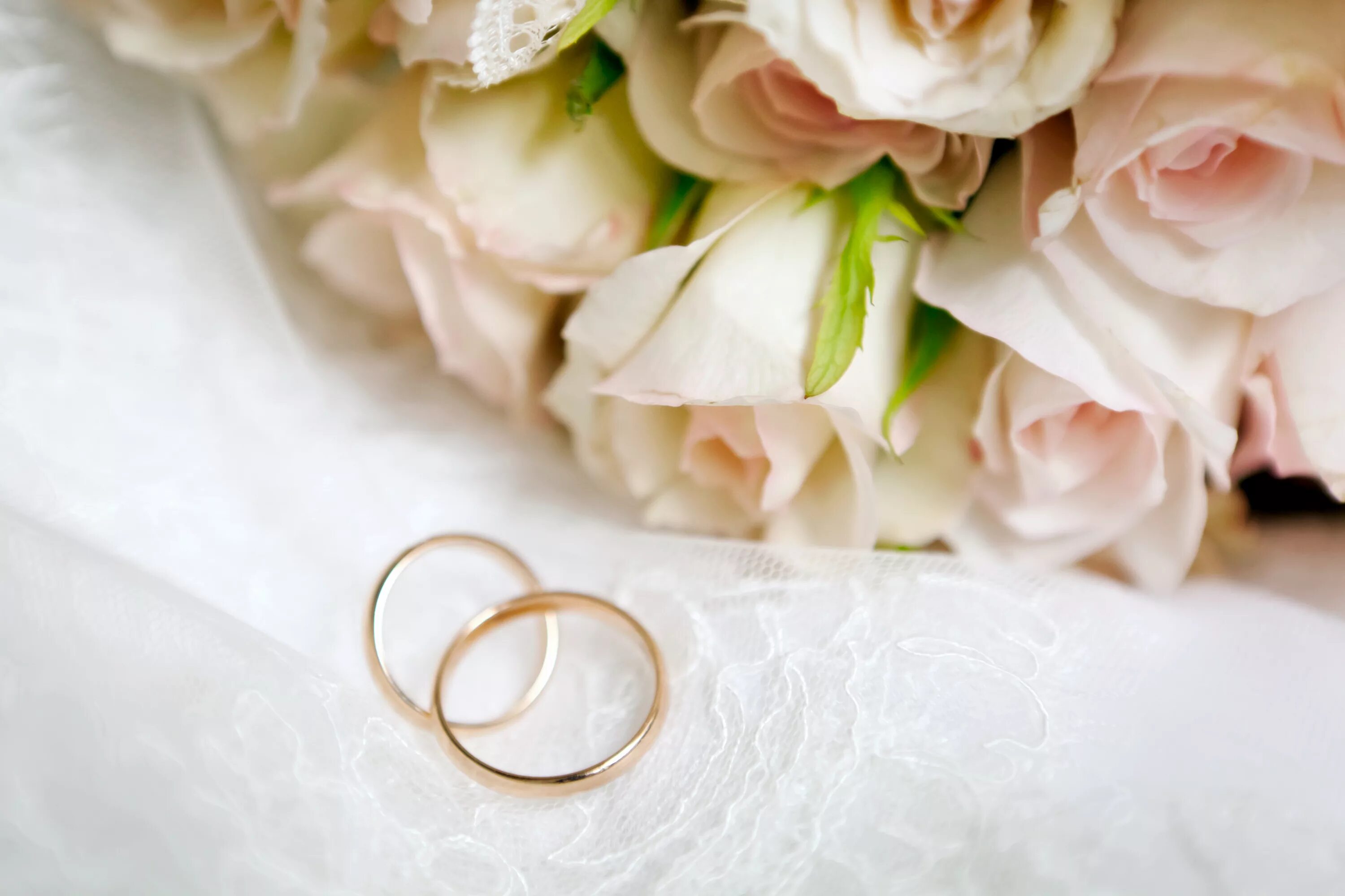 Картинка с днем свадьбы дорогой Download wallpaper flowers, roses, flowers, engagement rings, roses, wedding rin