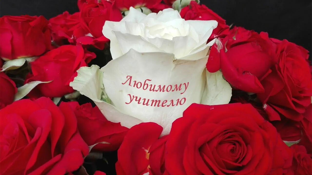 Картинка с днем учителя букет роз С ДНЕМ УЧИТЕЛЯ, МУЗЫКАЛЬНАЯ ОТКРЫТКА! - Нежное поздравление. - YouTube