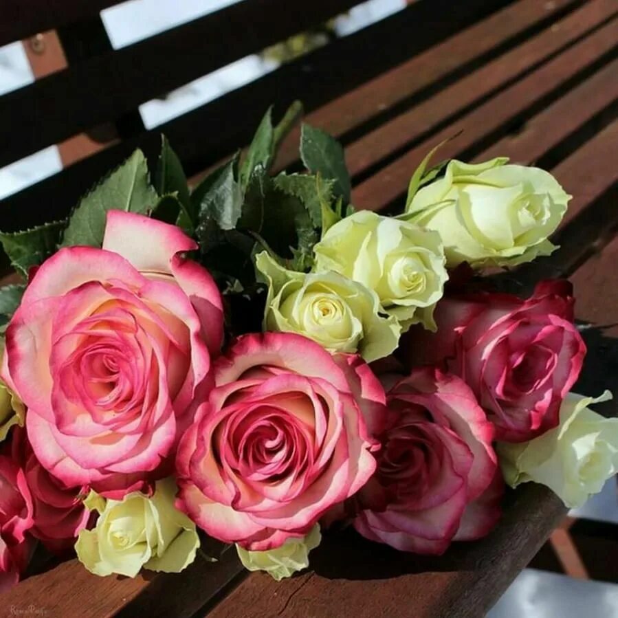 Картинка с днем учителя букет роз Chanya on Twitter Roos boeket, Roos bloemen, Rose