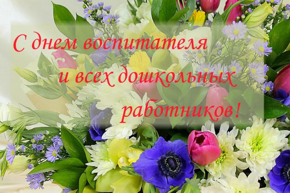 Картинка с днем учителя и дошкольного работника Александр Ледаков поздравляет воспитателей, работников детских садов и ветеранов