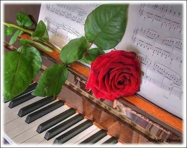 Картинка с днем учителя музыки скачать бесплатно Rose song Imagenes de pianos, Imágenes de musica, Flores increíbles