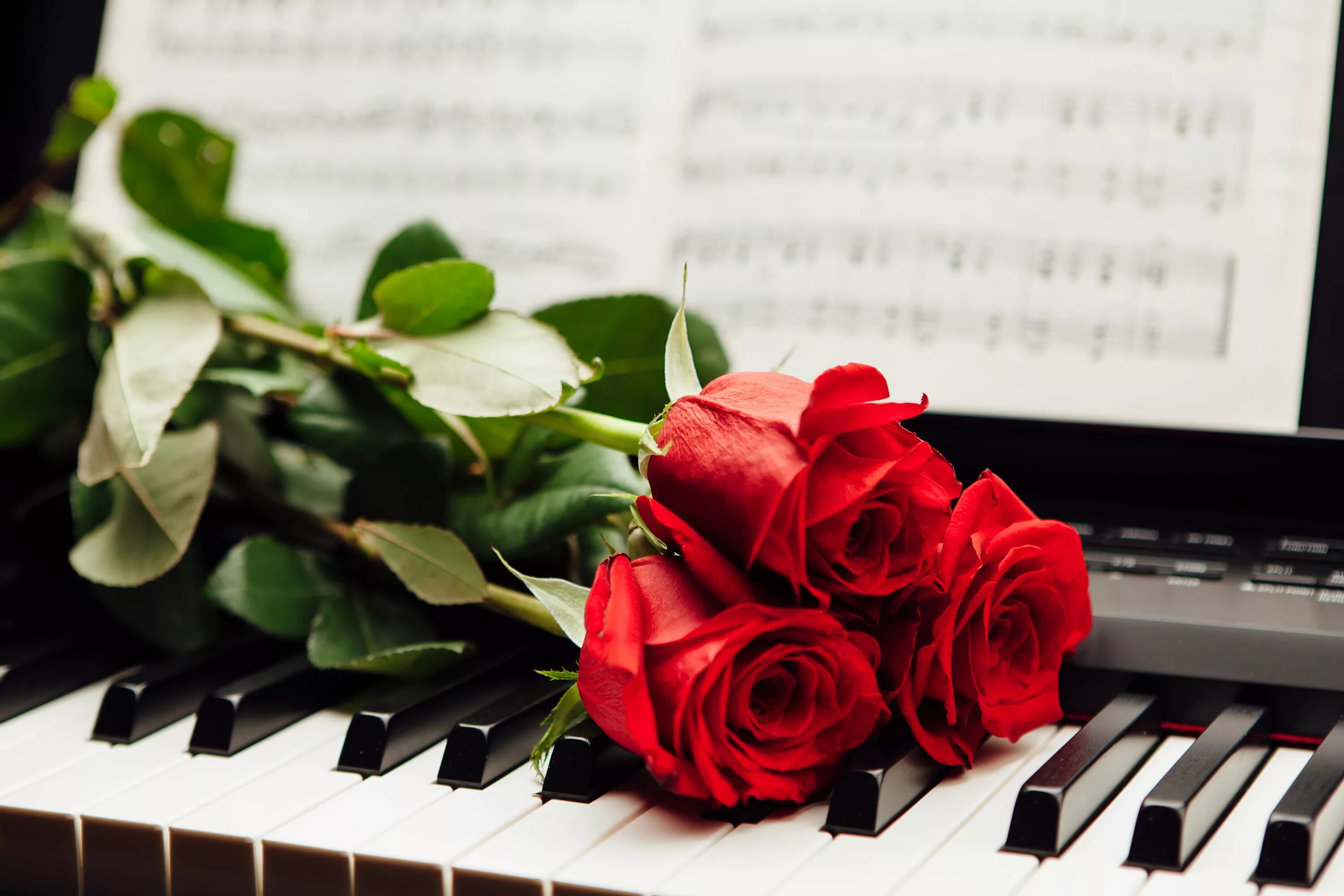 Картинка с днем учителя музыки скачать бесплатно Incidere semaforo Dimora sfondi desktop pianoforte Incubo tenere sotto controllo