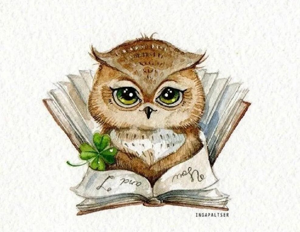 Картинка с днем учителя с совой Инга Пальцер Owl painting, Owls drawing, Owl pictures