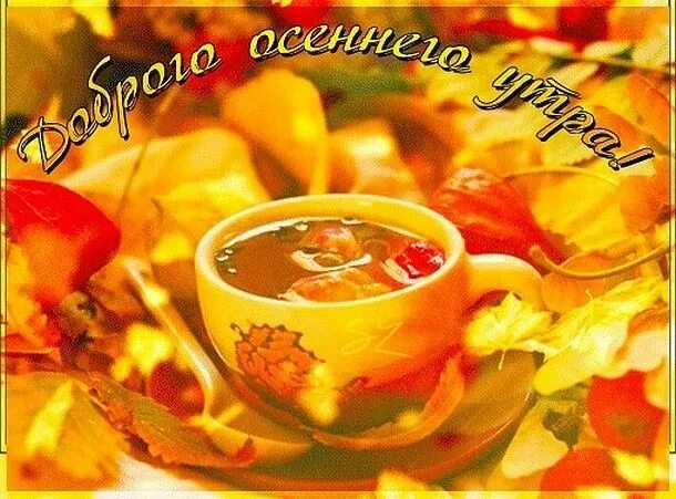 Картинка с добрым осенним утром прикольная анимация С Добрым Утром!Заходите на чай! :) - Фото OK.RU Moscow mule mugs, Moscow mule, G