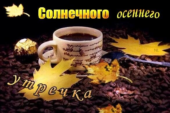 Картинка с добрым осенним утром прикольная анимация Pin on 30 Ноября Montreal botanical garden, Good morning, Botanical