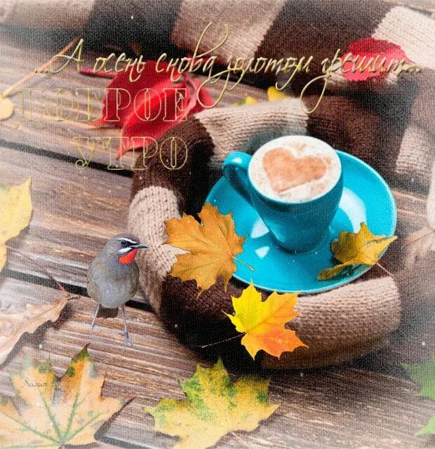 Картинка с добрым осенним утром прикольная анимация Доброе утро / Good morning - GIF АНИМАЦИЯ
