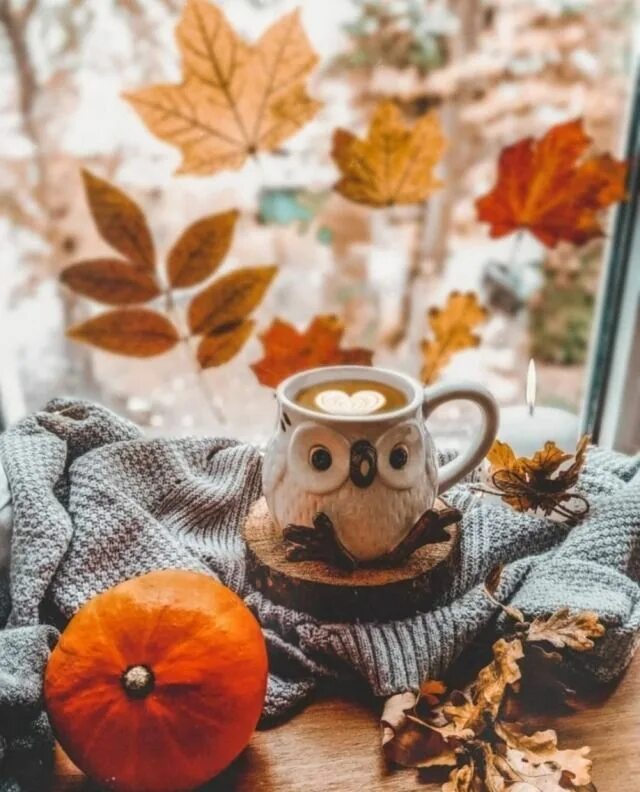 Картинка с добрым осенним утром прикольная маме wake me up when september starts - autumnalsoul: cred Hello autumn, Autumn decor