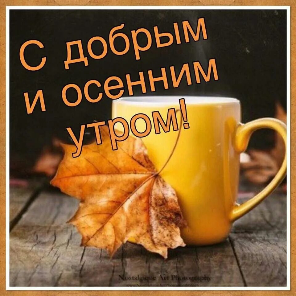 Картинка с добрым осенним утром прикольная маме Доброе утро, кроссоводы! Родителям школьников - терпения! Супругам педагогов - т