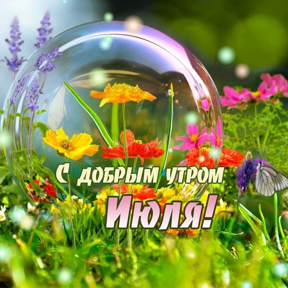 Картинка с добрым утром летняя бесплатно Доброе доброе утро лето июль новые: найдено 90 картинок