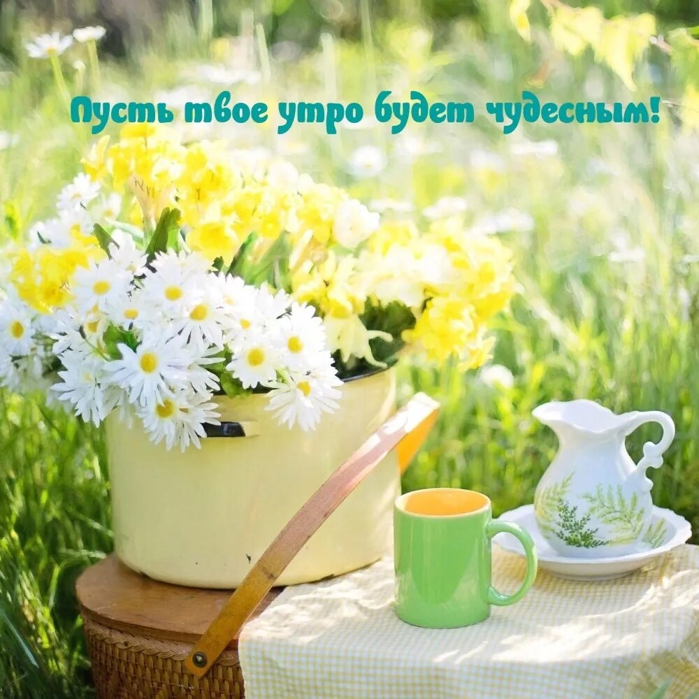 Картинка с добрым утром летняя бесплатно Друзья! Доброе утро! Радости и бодрости на весь день! Как отдохнули? Чем занимал