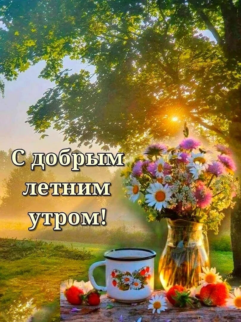 Картинка с добрым утром летняя бесплатно Картинки с добрым утром природа лето - Картинки доброе утро прекрасного дня пози