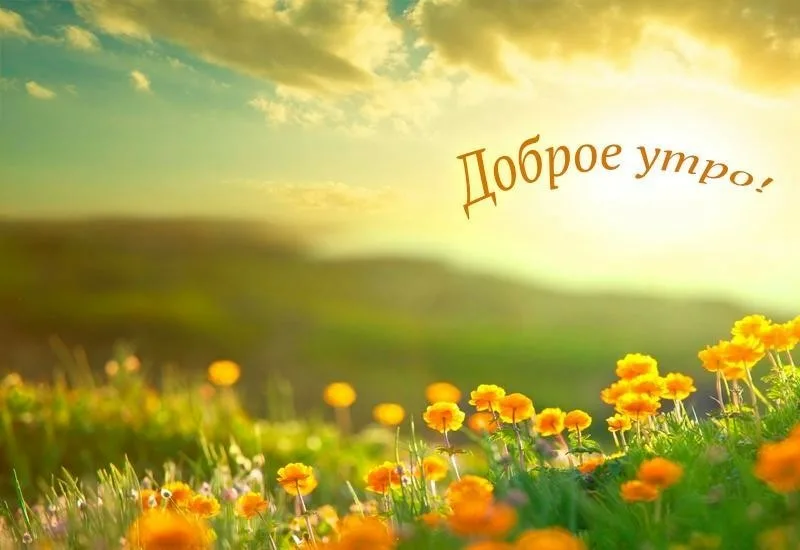 Картинка с добрым утром летняя бесплатно с добрым утром: 2 тыс изображений найдено в Яндекс.Картинках