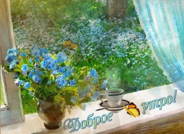 Картинка с добрым утром летняя бесплатно #STZK ДОБРОЕ УТРО! ☀ ❤ ☕ STZK india serial ВКонтакте