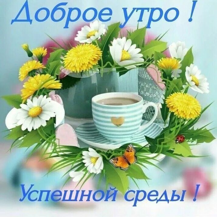 Картинка с добрым утром летняя бесплатно Доброе утро on Instagram: "#goodmorning" Доброе утро, Благодарственные открытки,