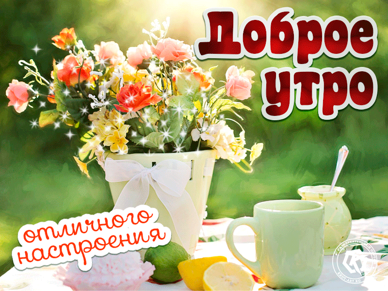 Картинка с добрым утром летняя бесплатно Прикольная открытка с цветами доброе утро, бесплатная гиф анимация на каждый ден