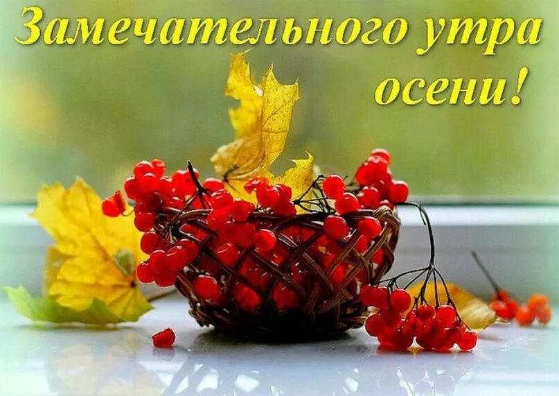 Картинка с добрым утром начало осени Доброе утро!!! Радуйтесь каждой минуте, ведь они делают нас счастливыми. Яркого 